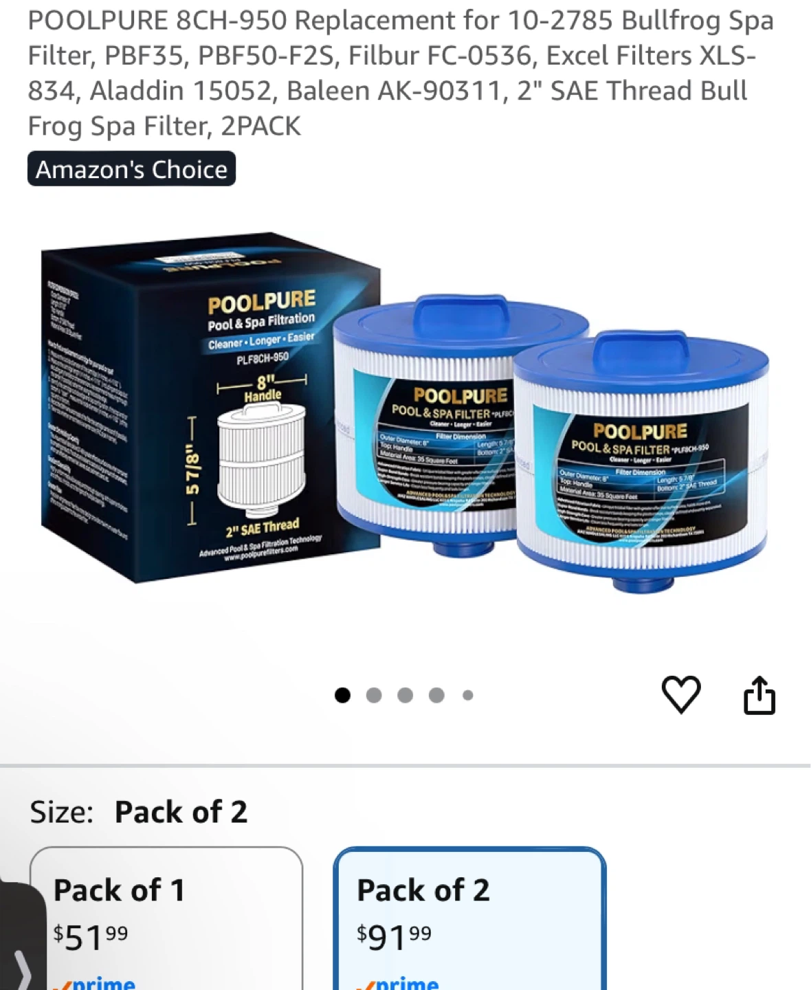 POOLPURE Pool & Spa Filter PLF8CH-950 - photo 4