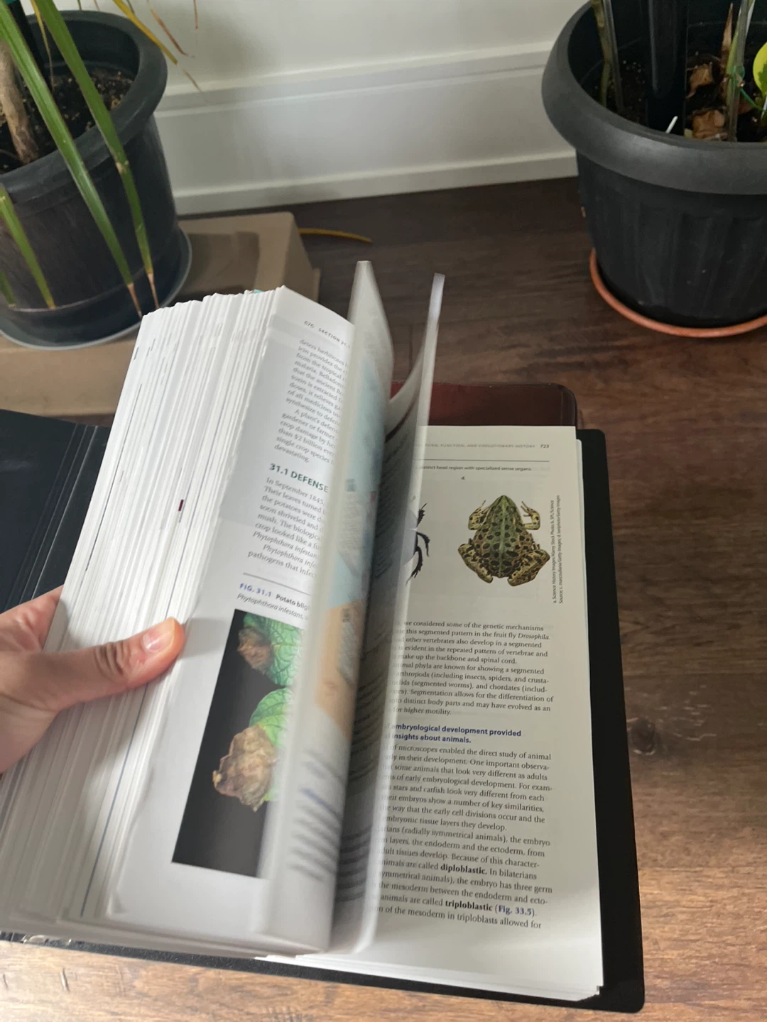 Biology: How Life Works 4th Edition Textbook - photo 3