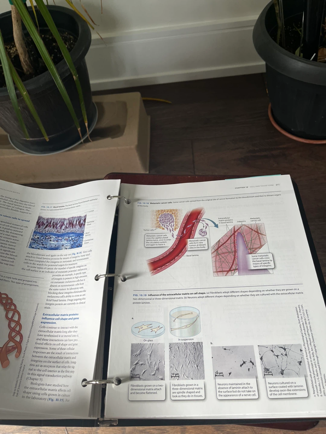 Biology: How Life Works 4th Edition Textbook - photo 4