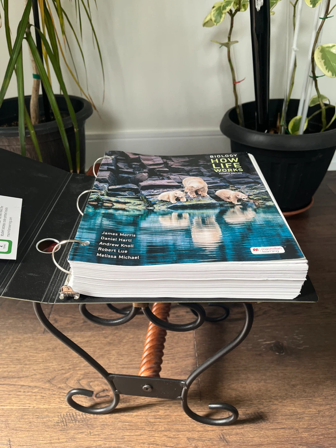 Biology: How Life Works 4th Edition Textbook