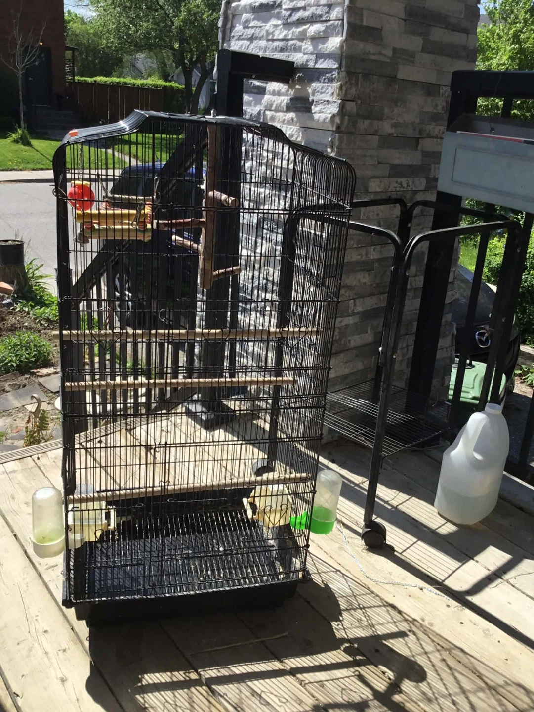 Large black bird cage with stand