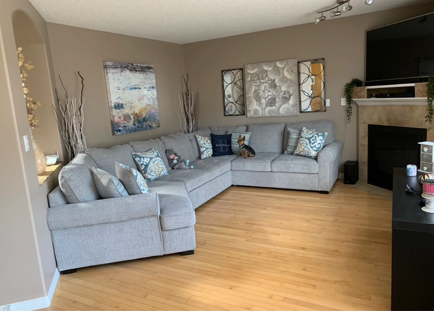 Grey Sectional Sofa with Storage