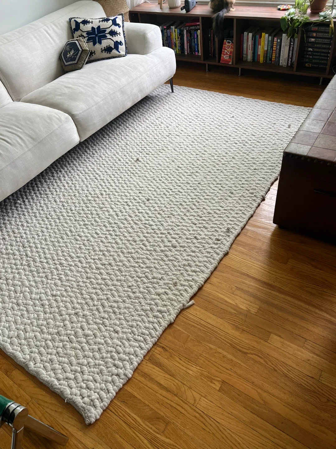 5x8 wool & cotton rug - photo 3