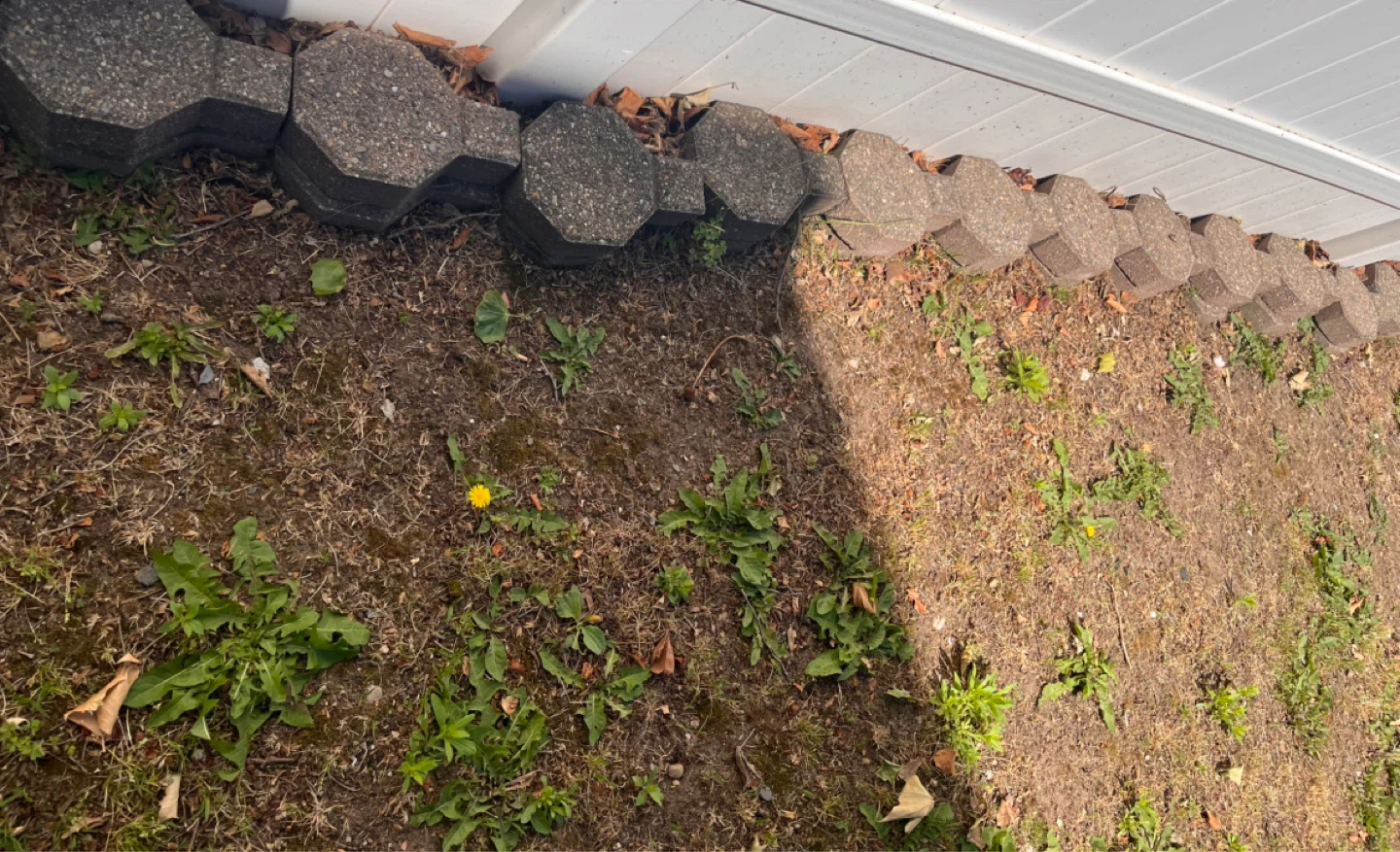 FREE PAVERS OVER 100- MUST PICK UP ASAP MOVING OUT - photo 5