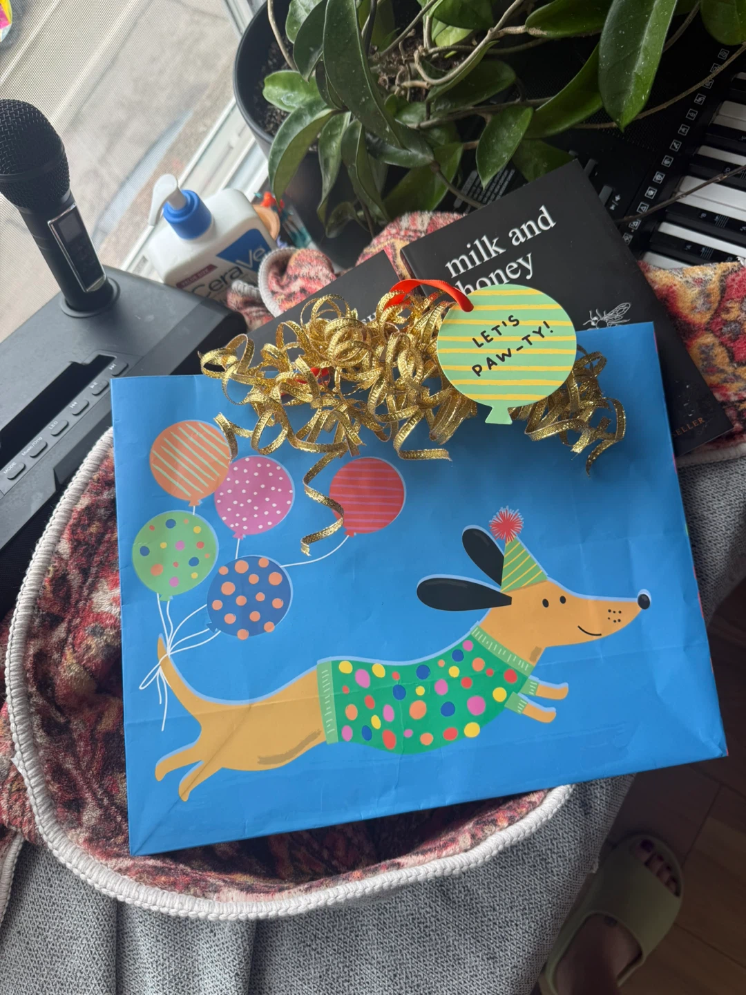 Free unsigned birthday bag