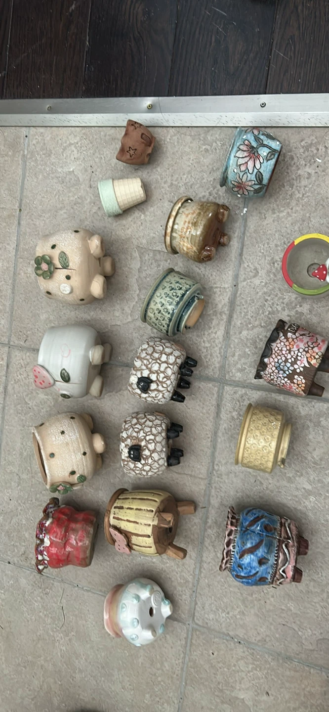 Plant pots $3 and up