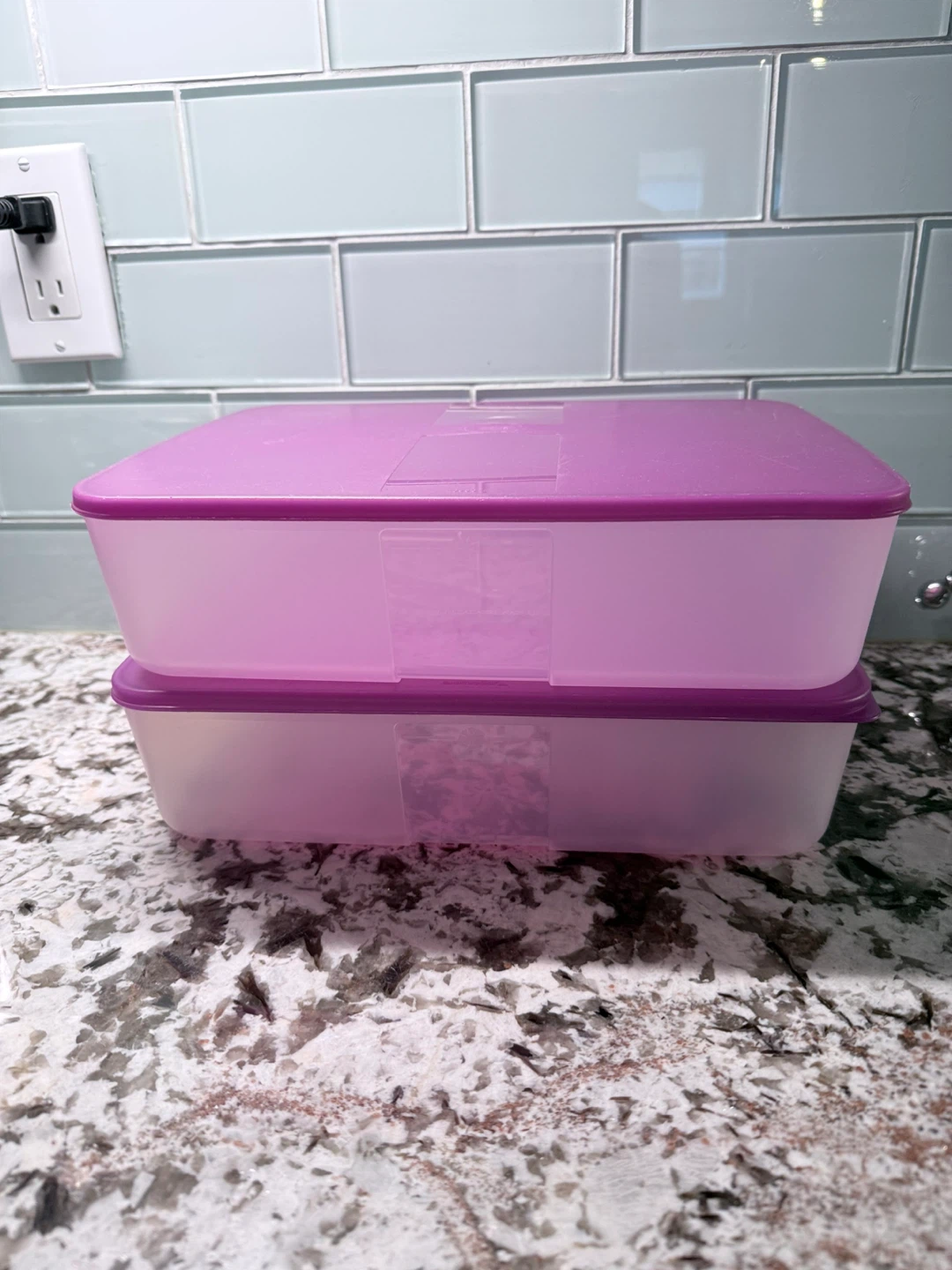 Tupperware Food Storage Containers - Set of 2