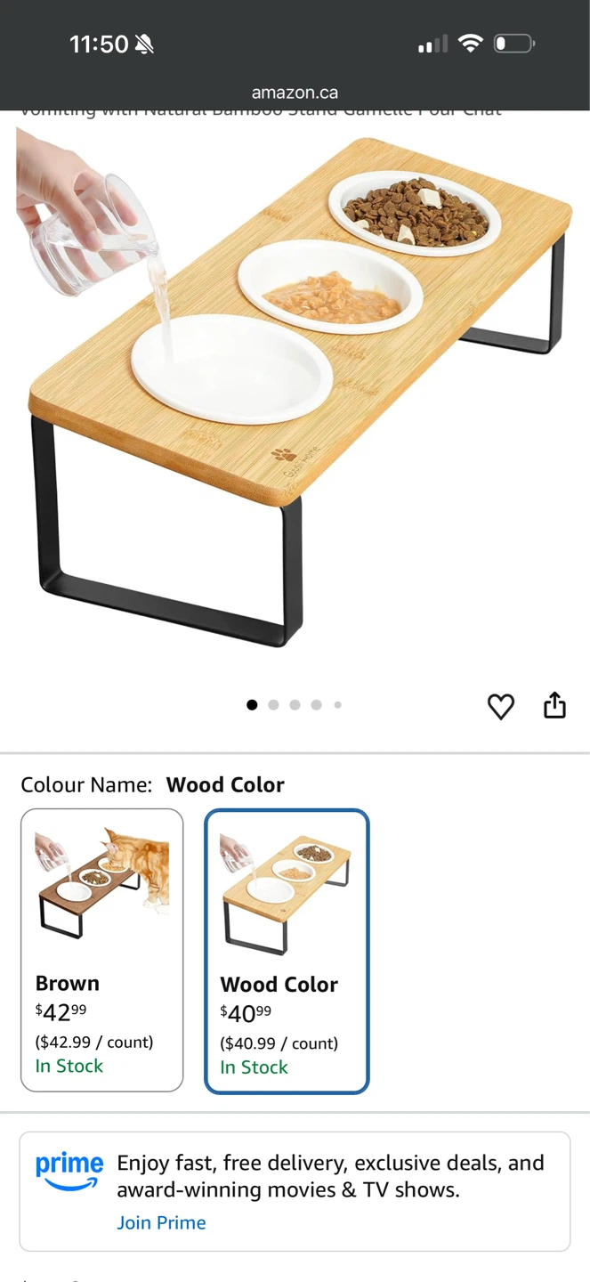 Elevated & Tilted Cat Bowls with Bamboo Stand - photo 3