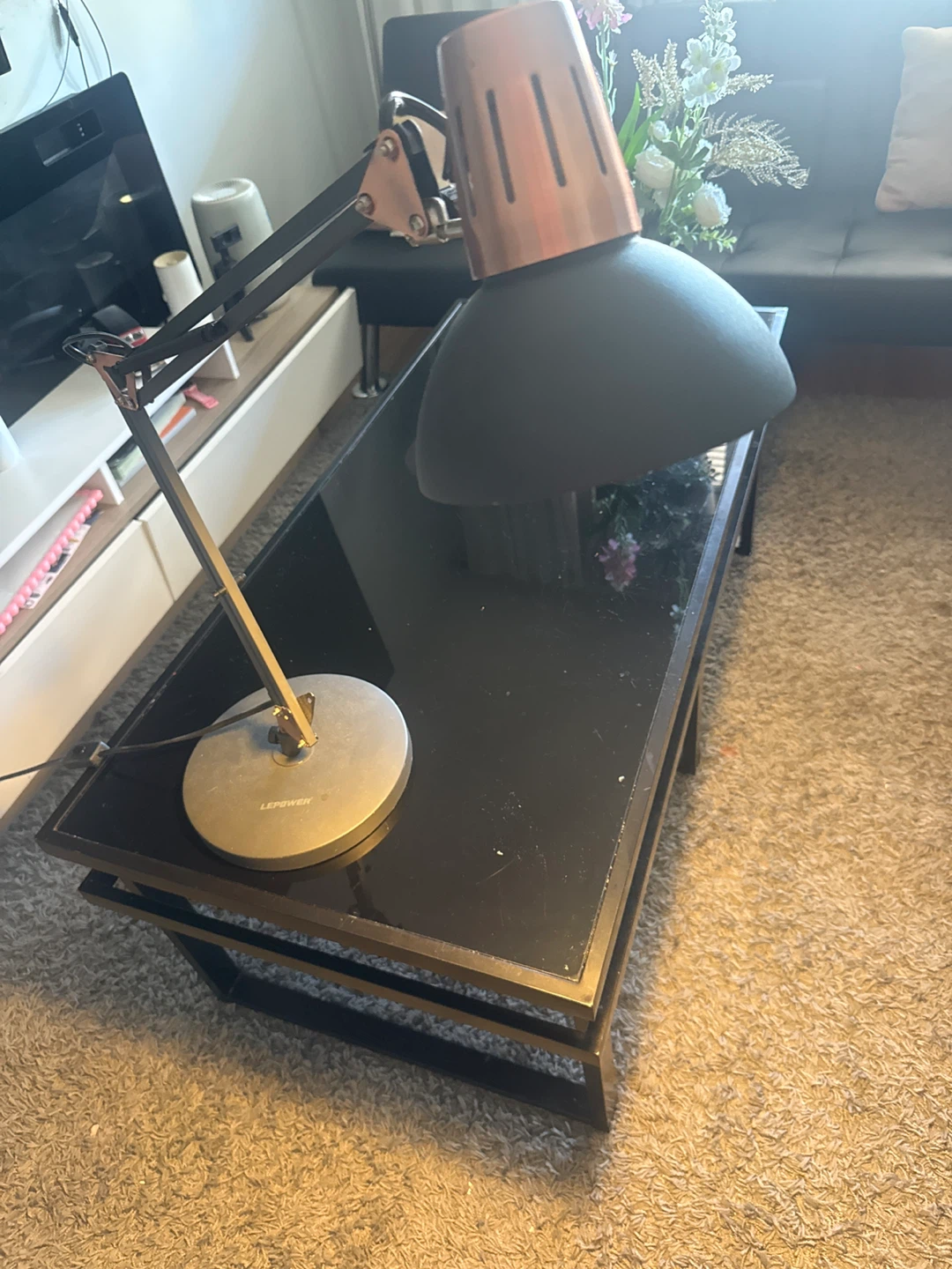 LEPOWER Desk Lamp
