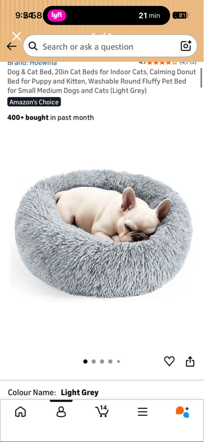 Small cat or dog bed