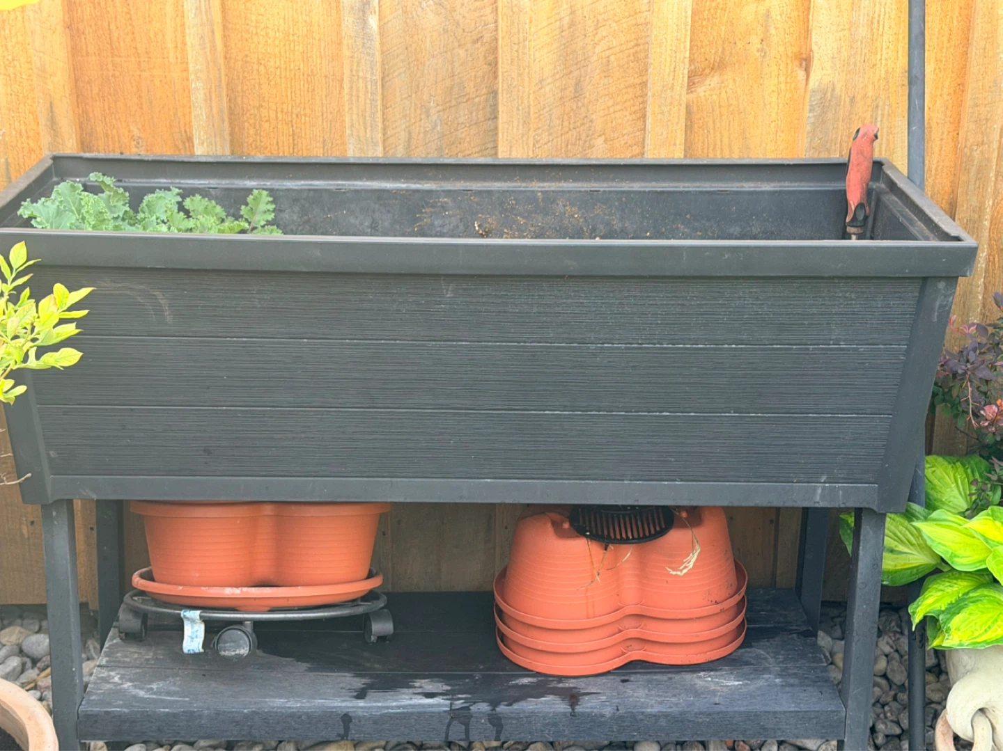 Elevated Garden Planter Box