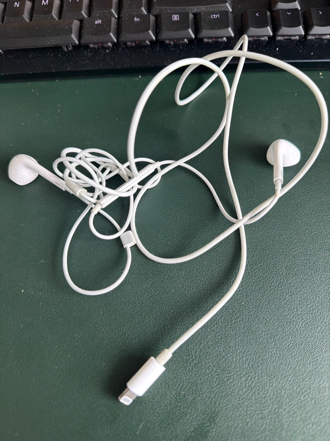 Free Apple EarPods with Lightning Connector
