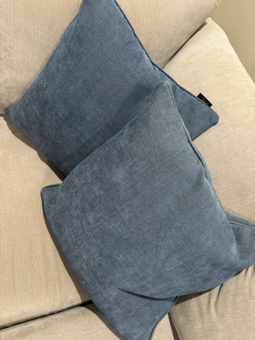Blue Throw Pillow (Set of 2)