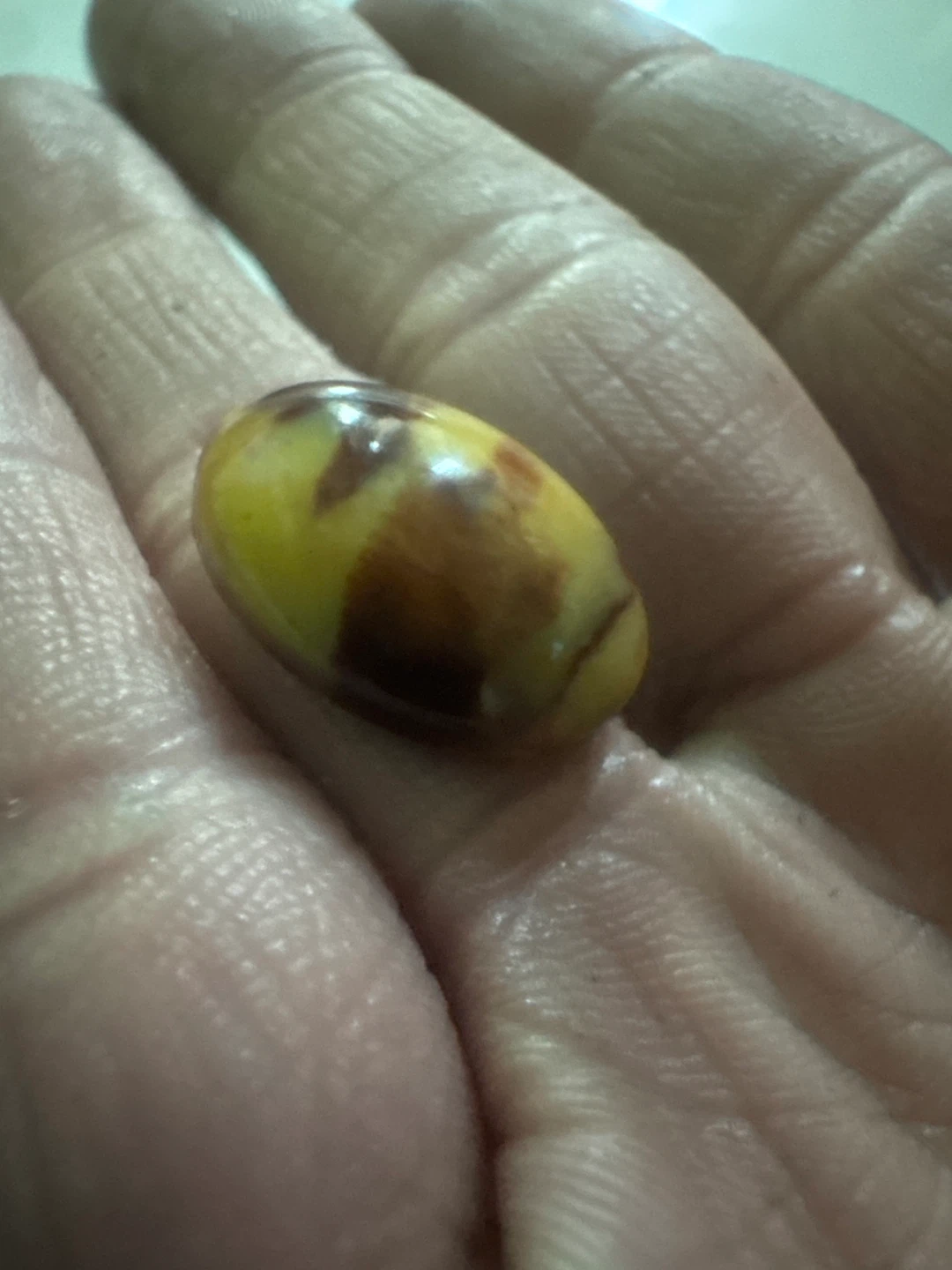 24 cabochons of unknown material - photo 2