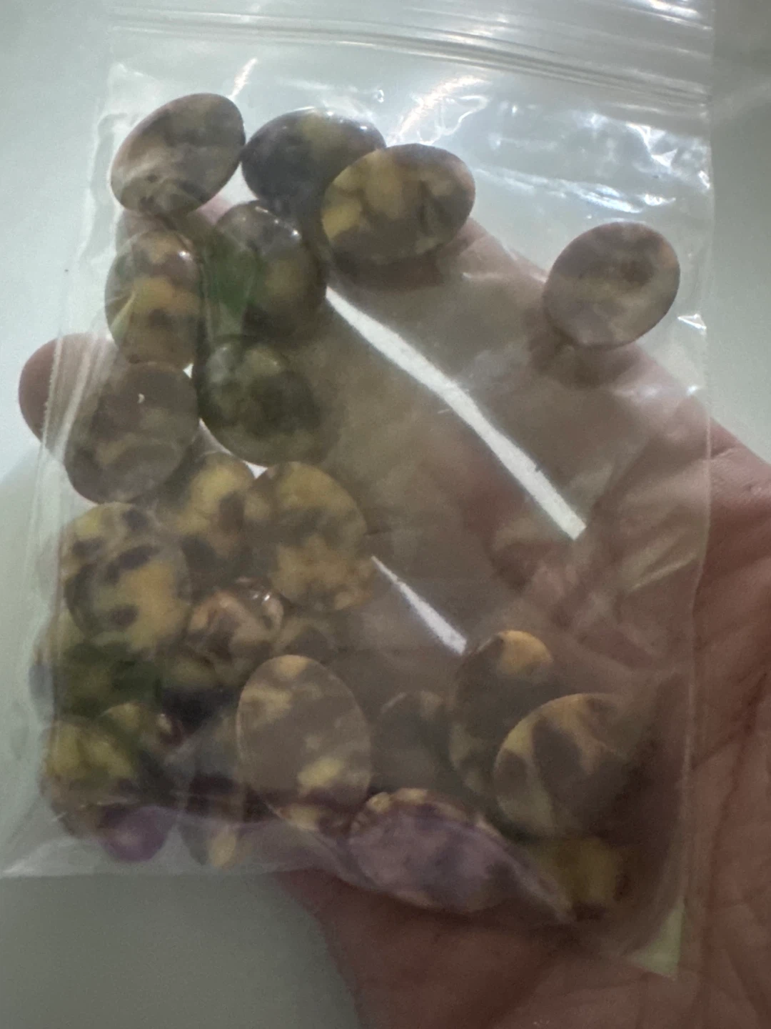 24 cabochons of unknown material