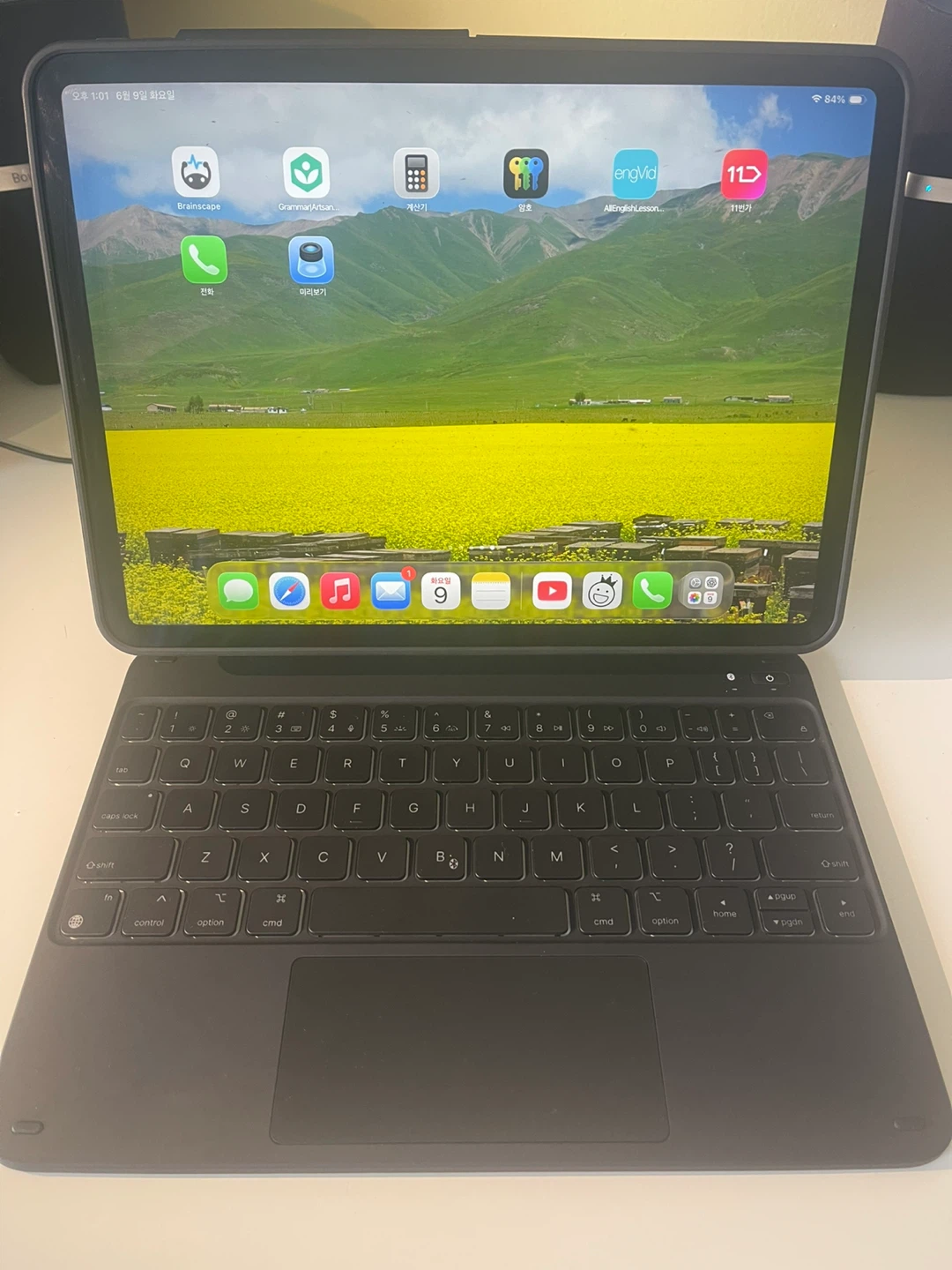 Apple iPad Pro 11 inch (2th gen) with Keyboard