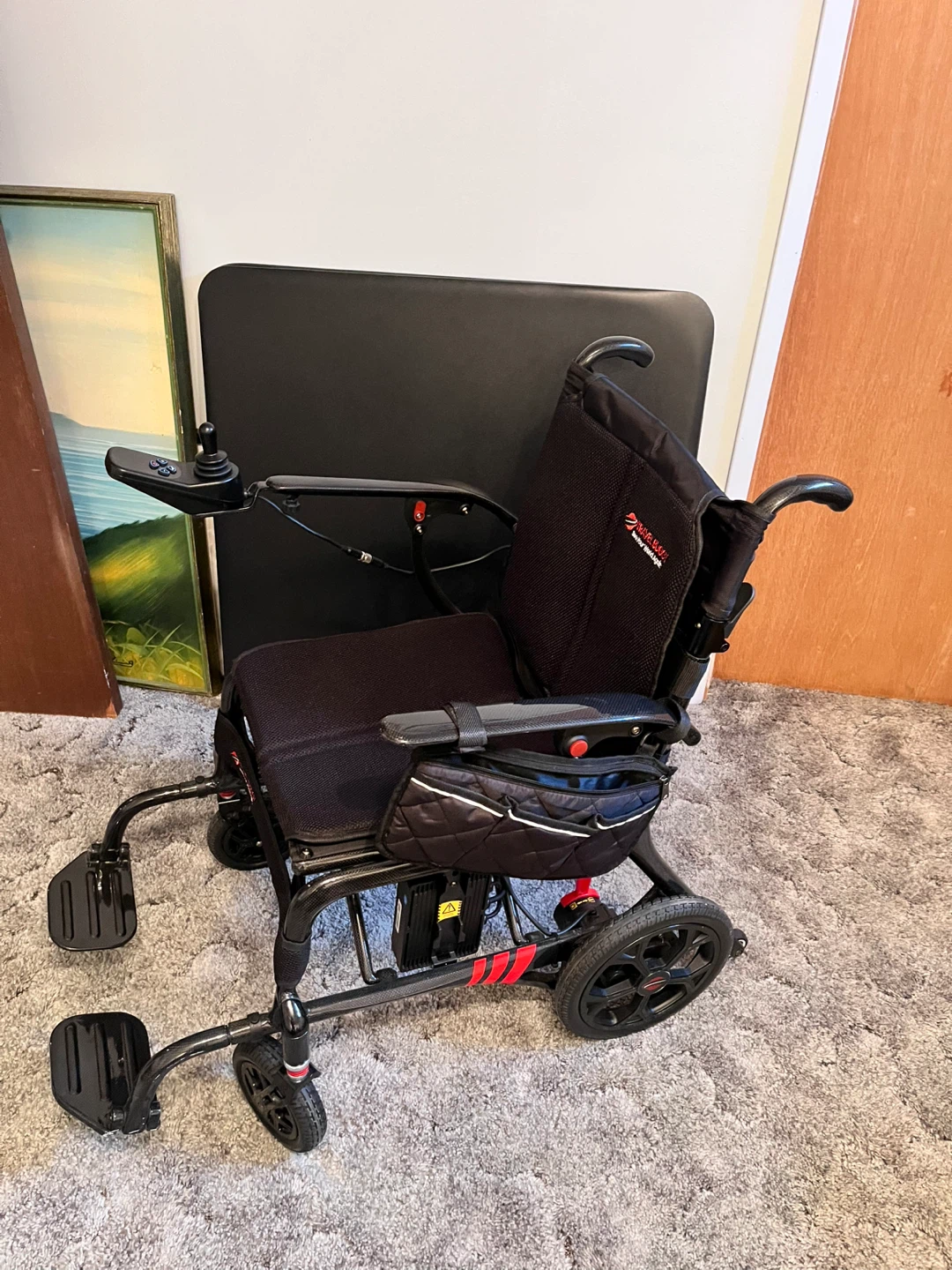 Aerolux Travel Buggy - photo 3