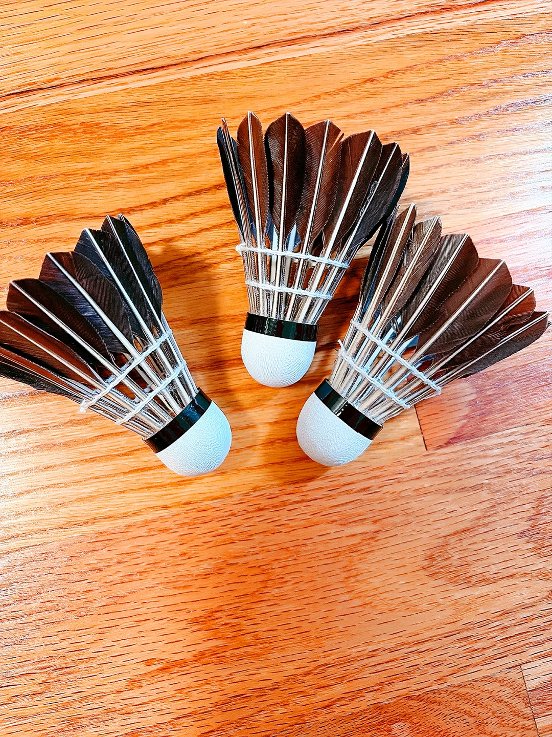 Set of 3 Badminton Shuttlecocks