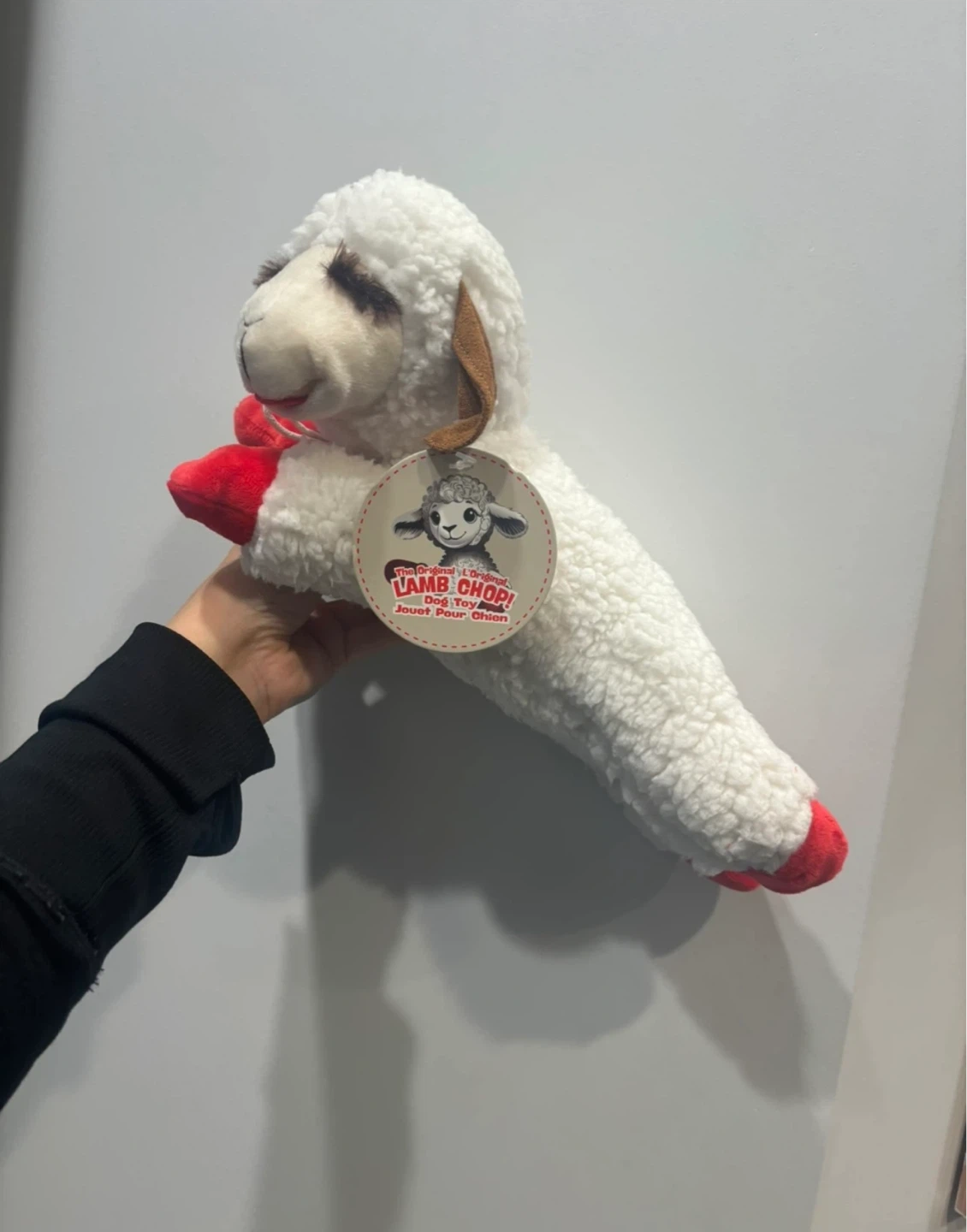 Brand new lamb chops