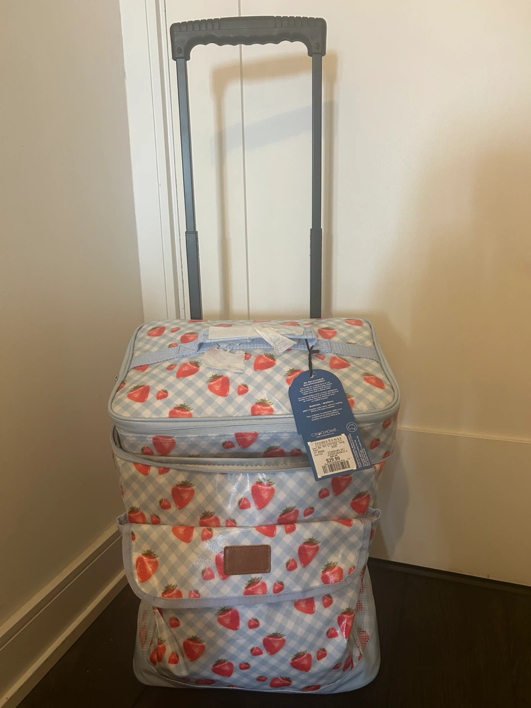 Cooler Bag with Wheels