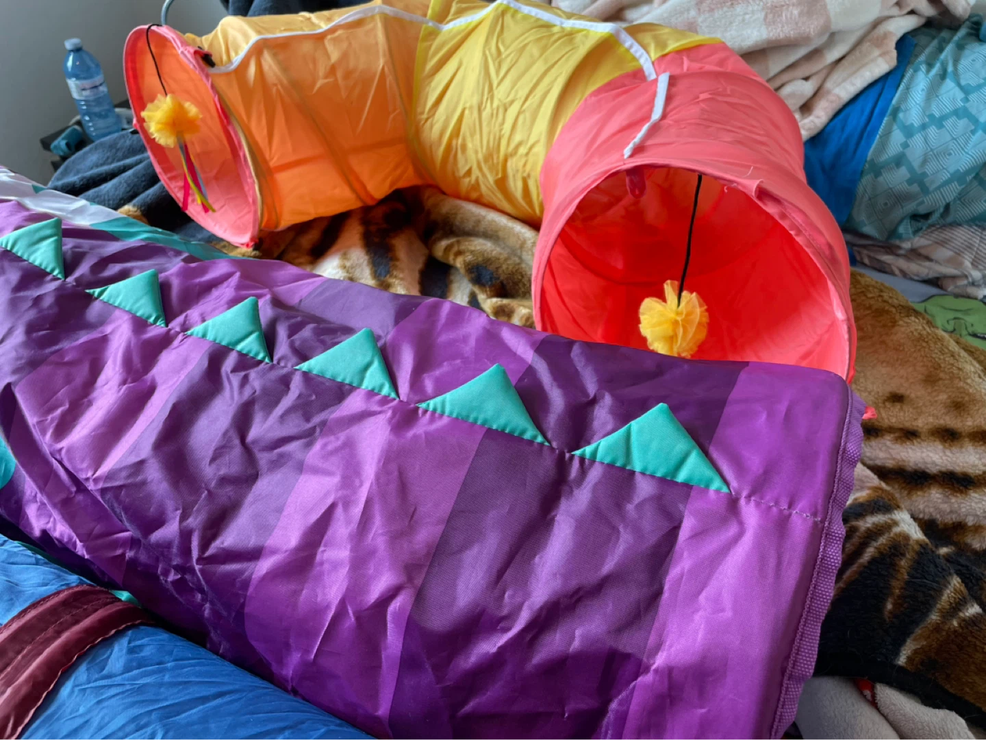 Cat Tunnels Lot - photo 3