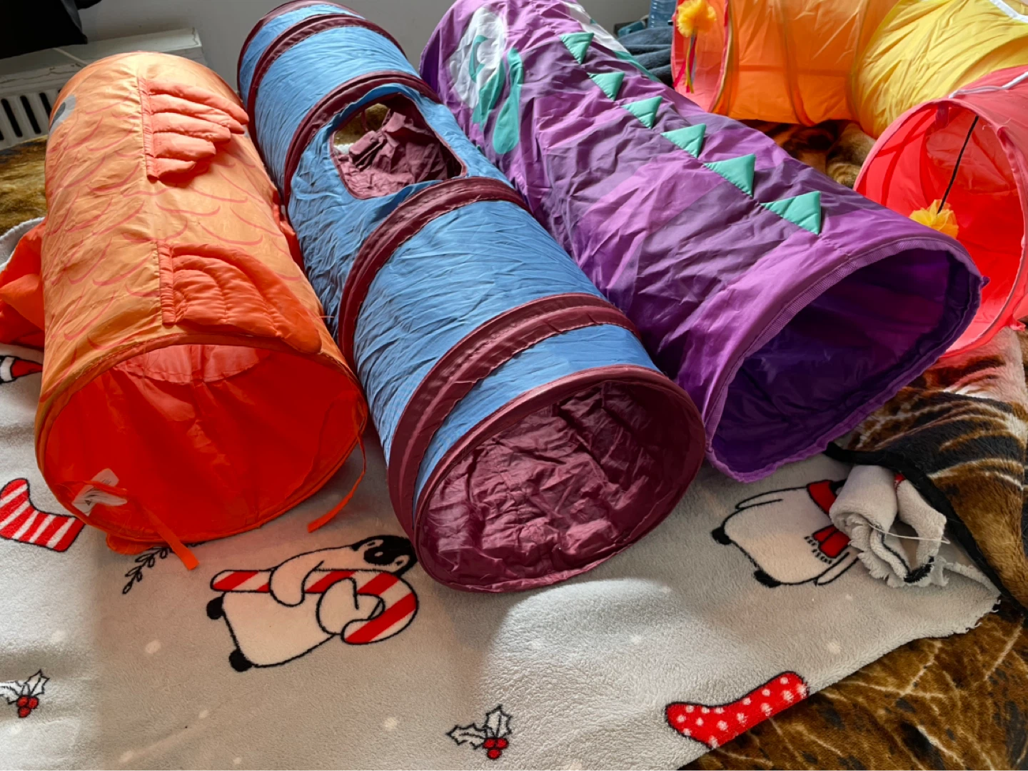 Cat Tunnels Lot - photo 2