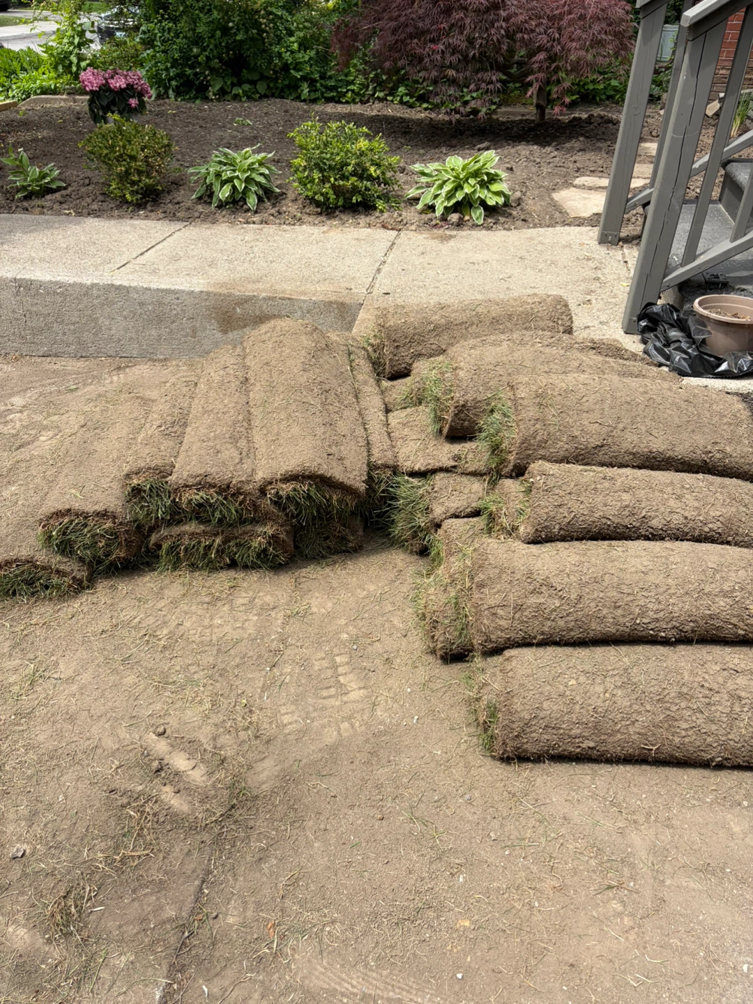Fresh Sod Rolls