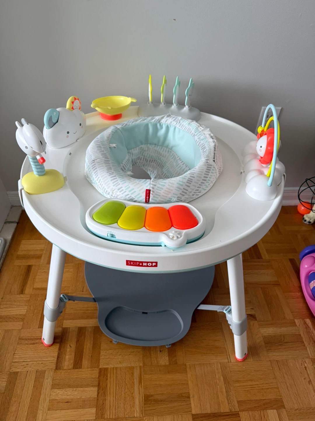 Baby Skip-Hop Activity Center
