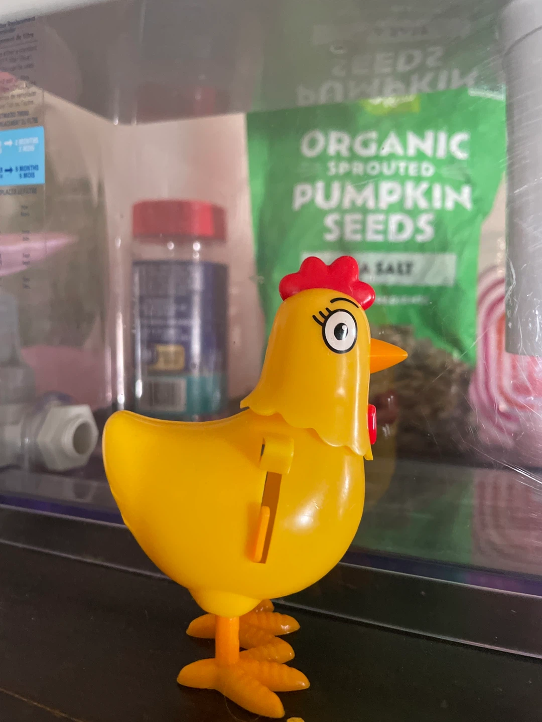 Wind-Up Walking Chicken Toy