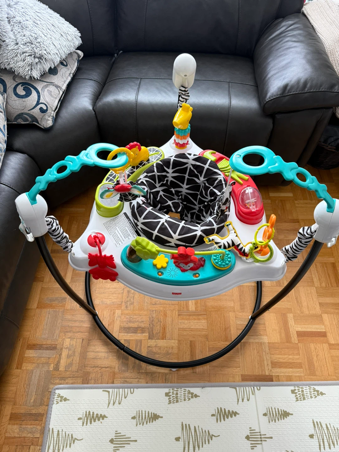 Baby Fisher-Price Jumperoo