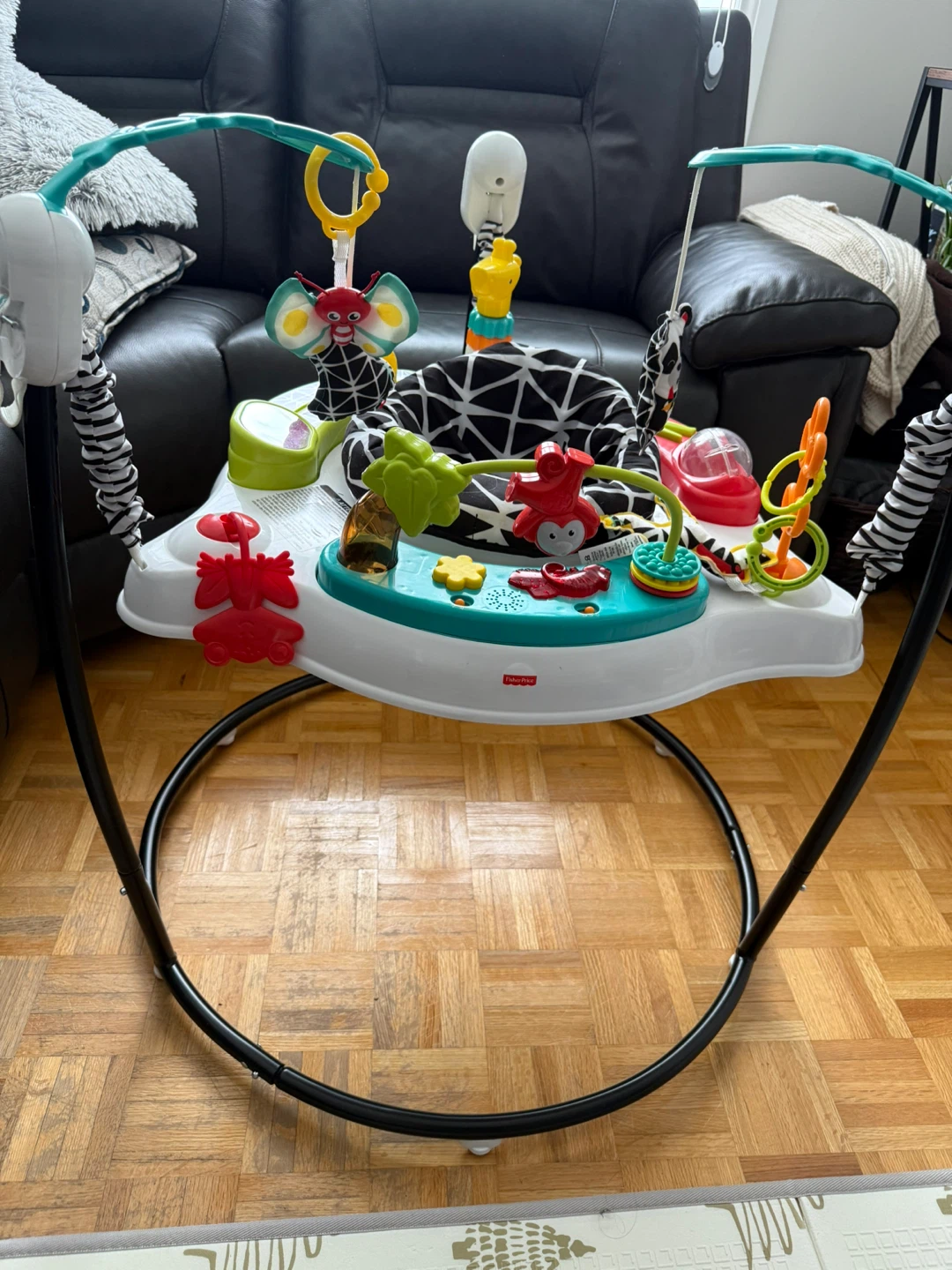 Baby Fisher-Price Jumperoo - photo 2