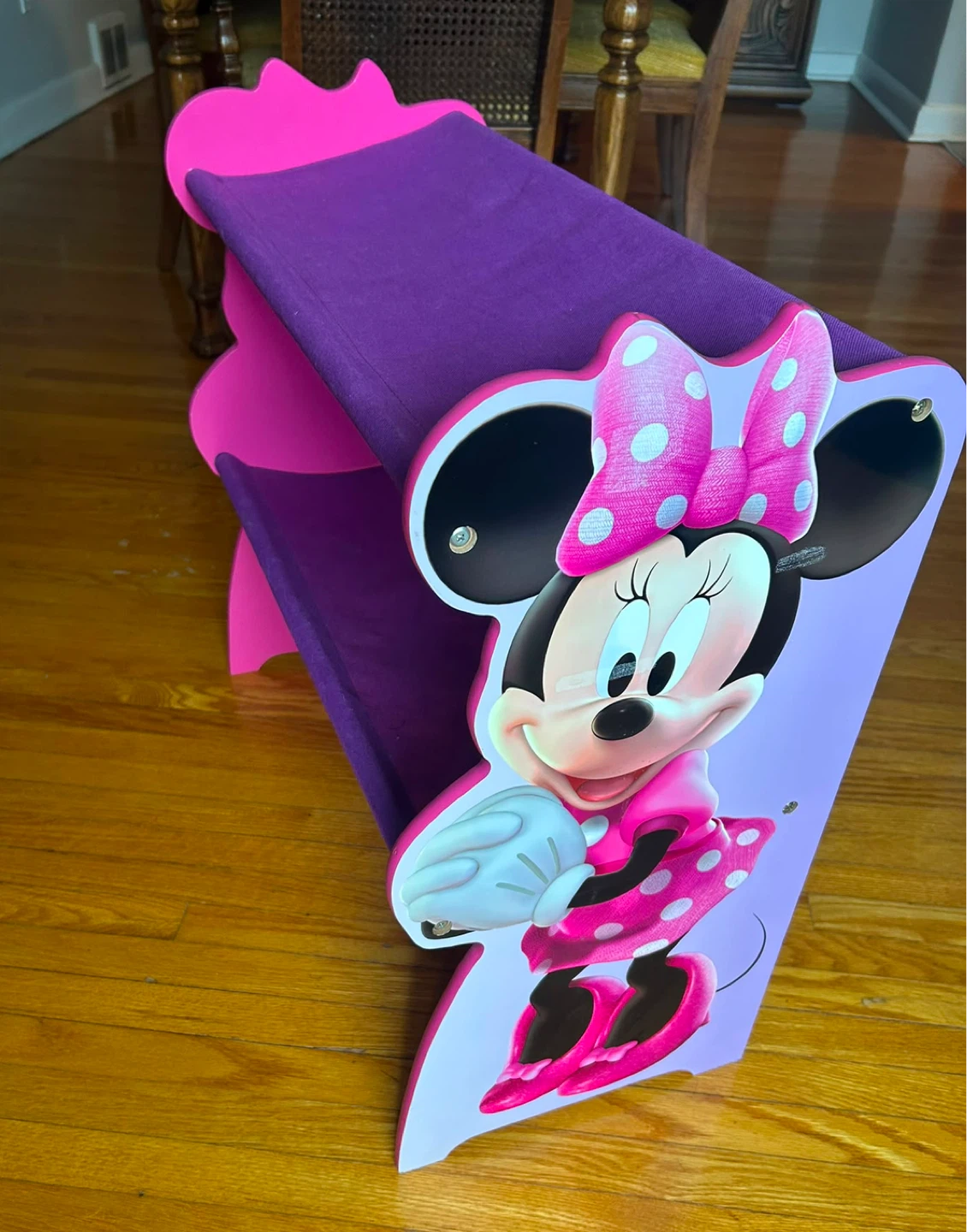 Minnie Mouse Kids storage
