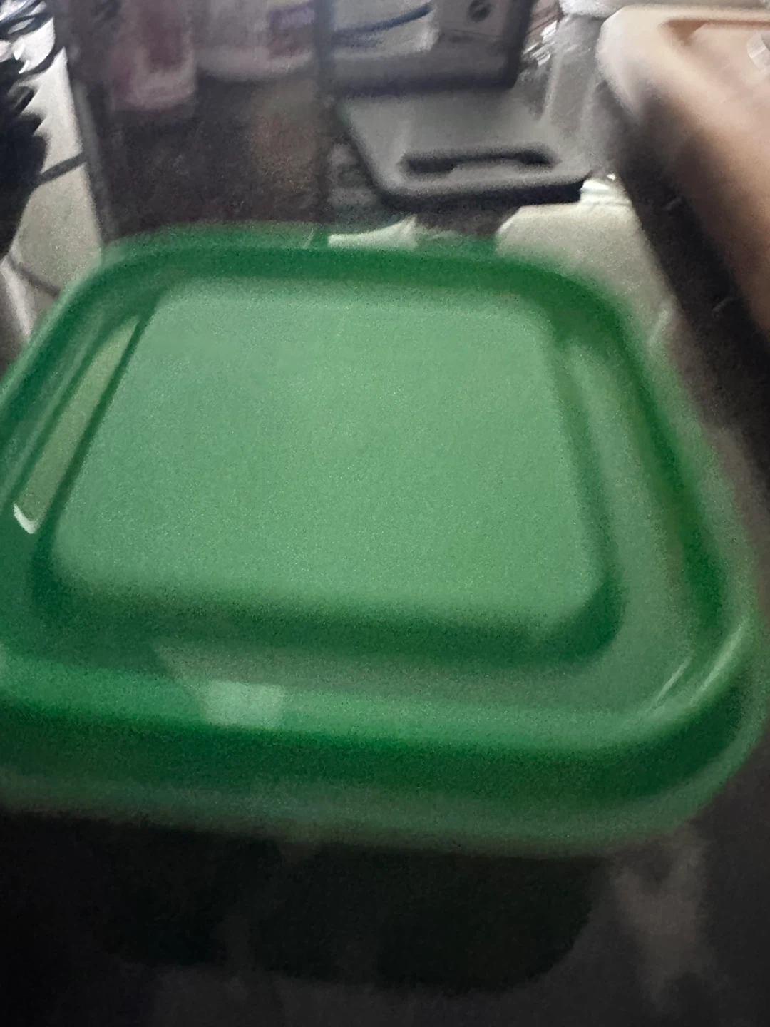 Green food storage container
