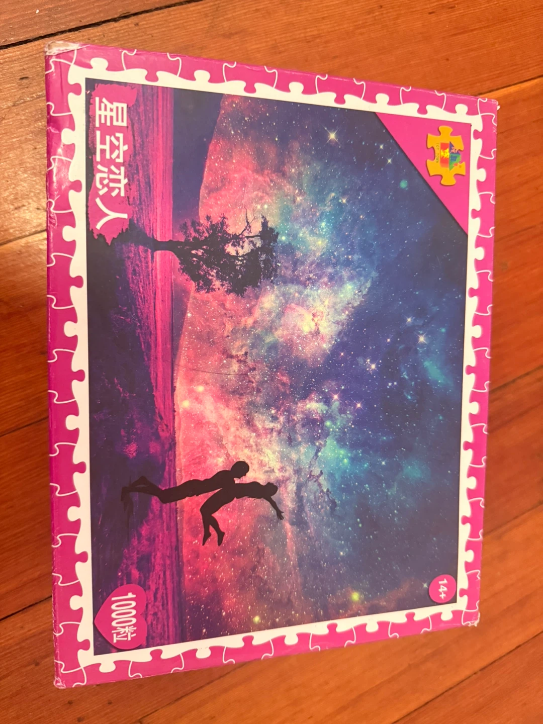 1000 Piece Puzzle - Galaxy Love Scene