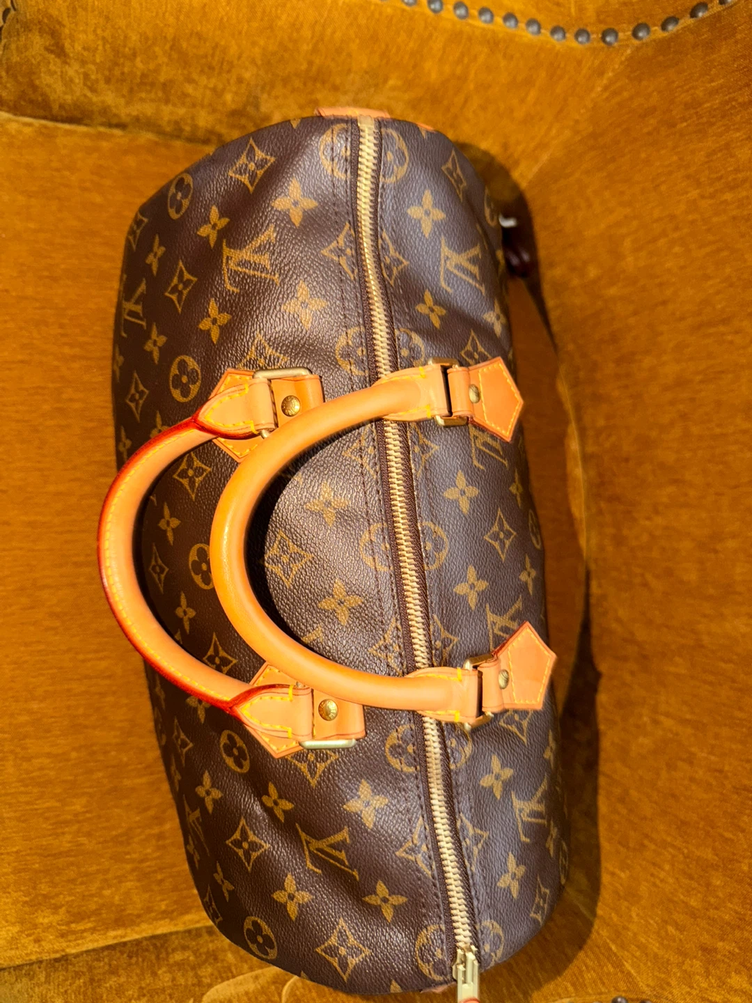 Louis Vuitton Monogram Speedy Bag
