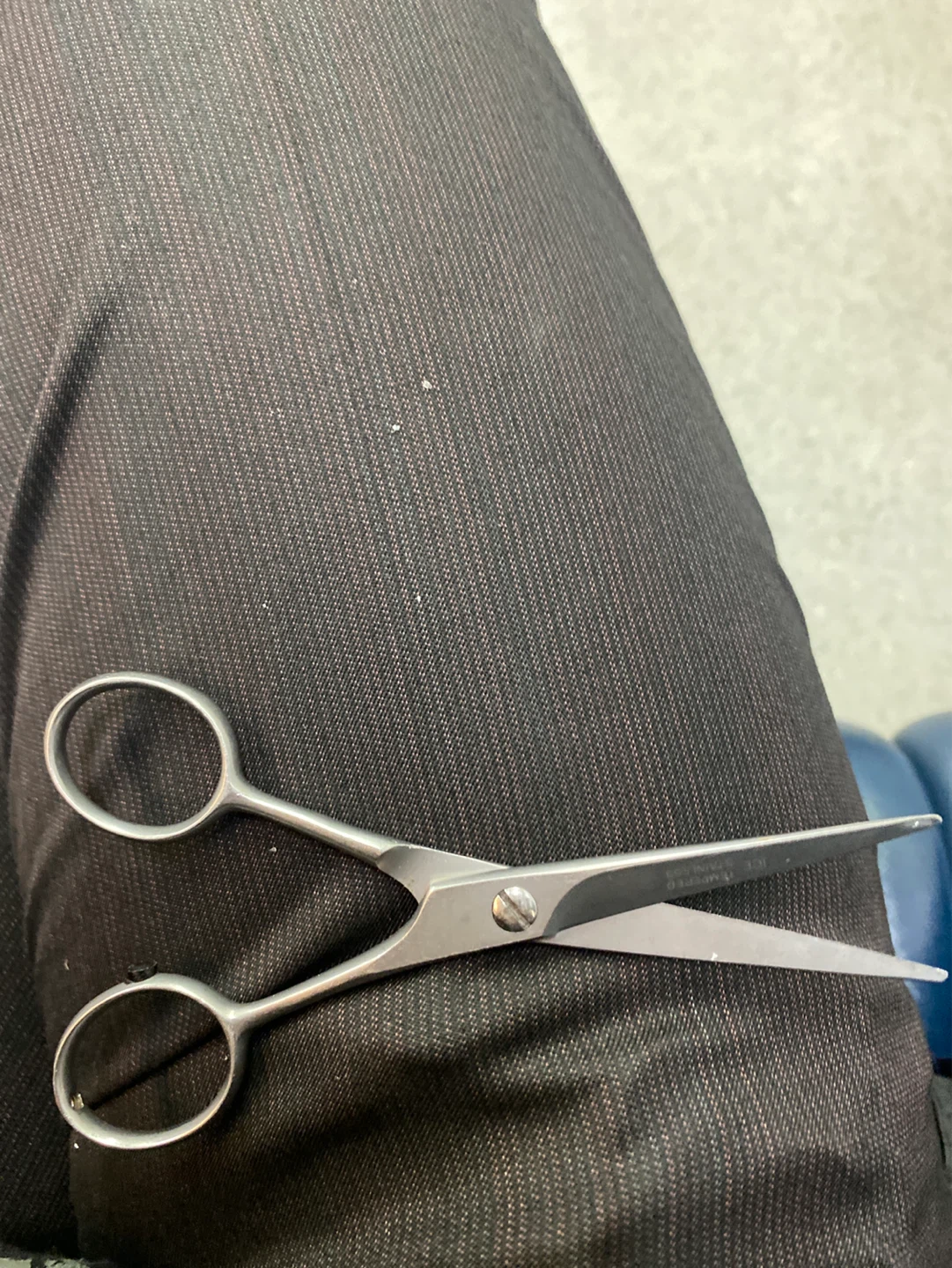 Stainless Steel Scissors
