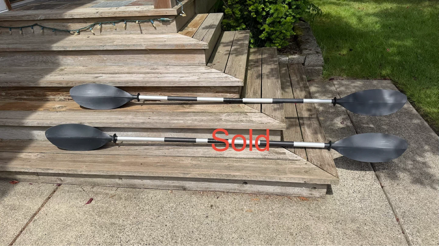 Intex Kayak Paddles $25