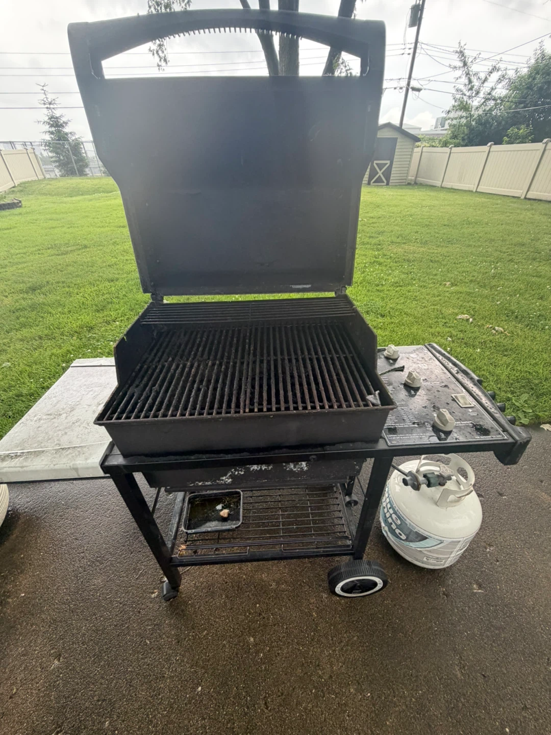 Weber Propane Grill - photo 2