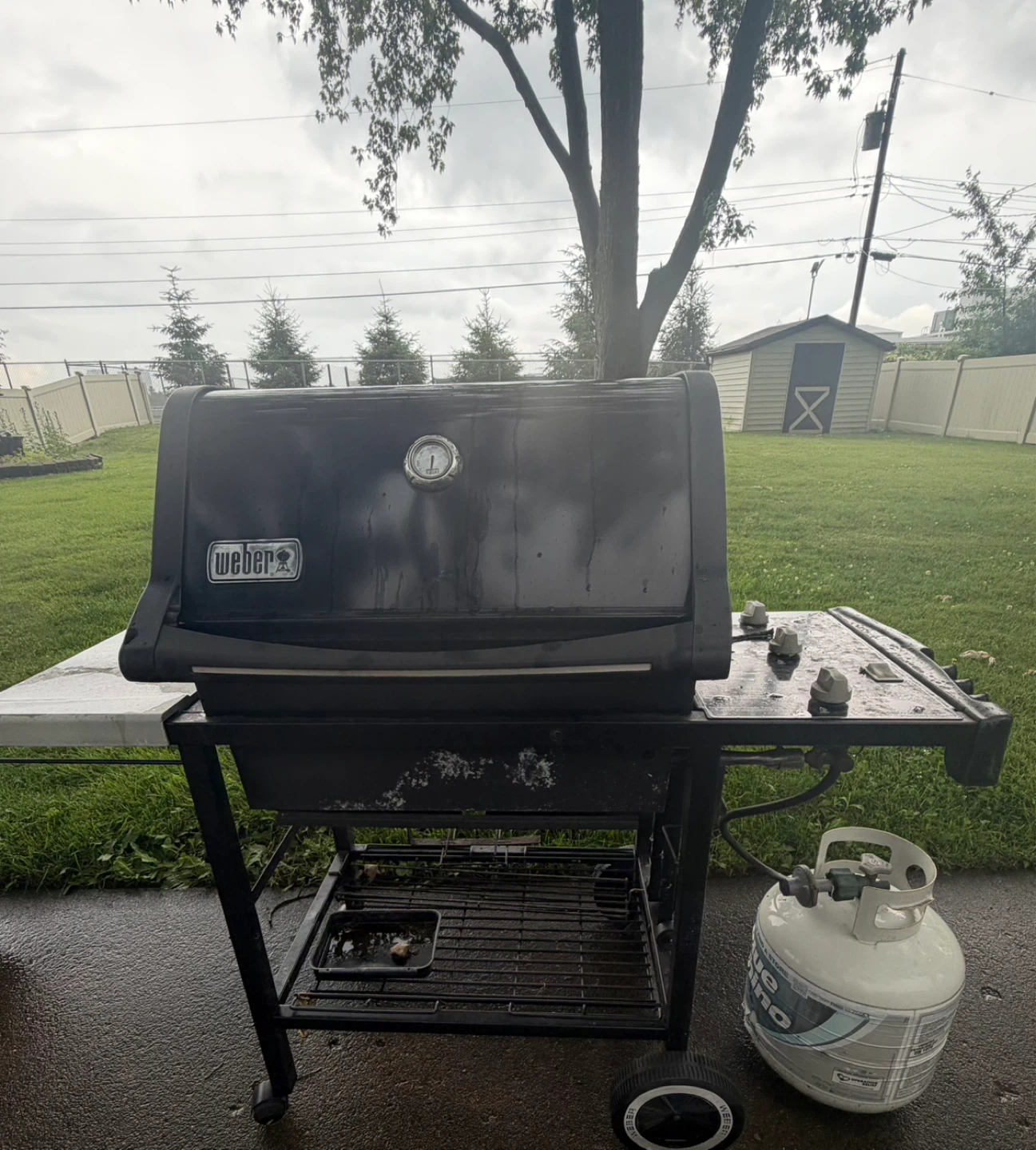 Weber Propane Grill