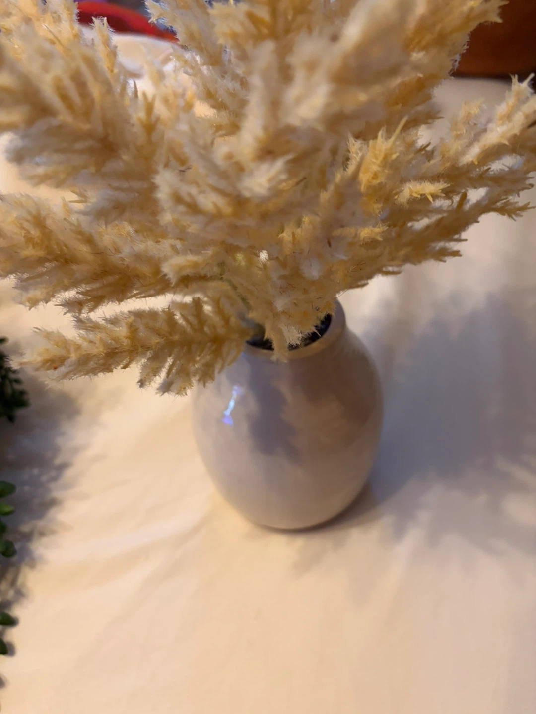 2- plants/Dried Pampas Grass Arrangement in White Ceramic Vase - photo 3