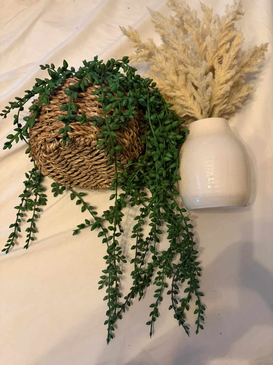 2- plants/Dried Pampas Grass Arrangement in White Ceramic Vase