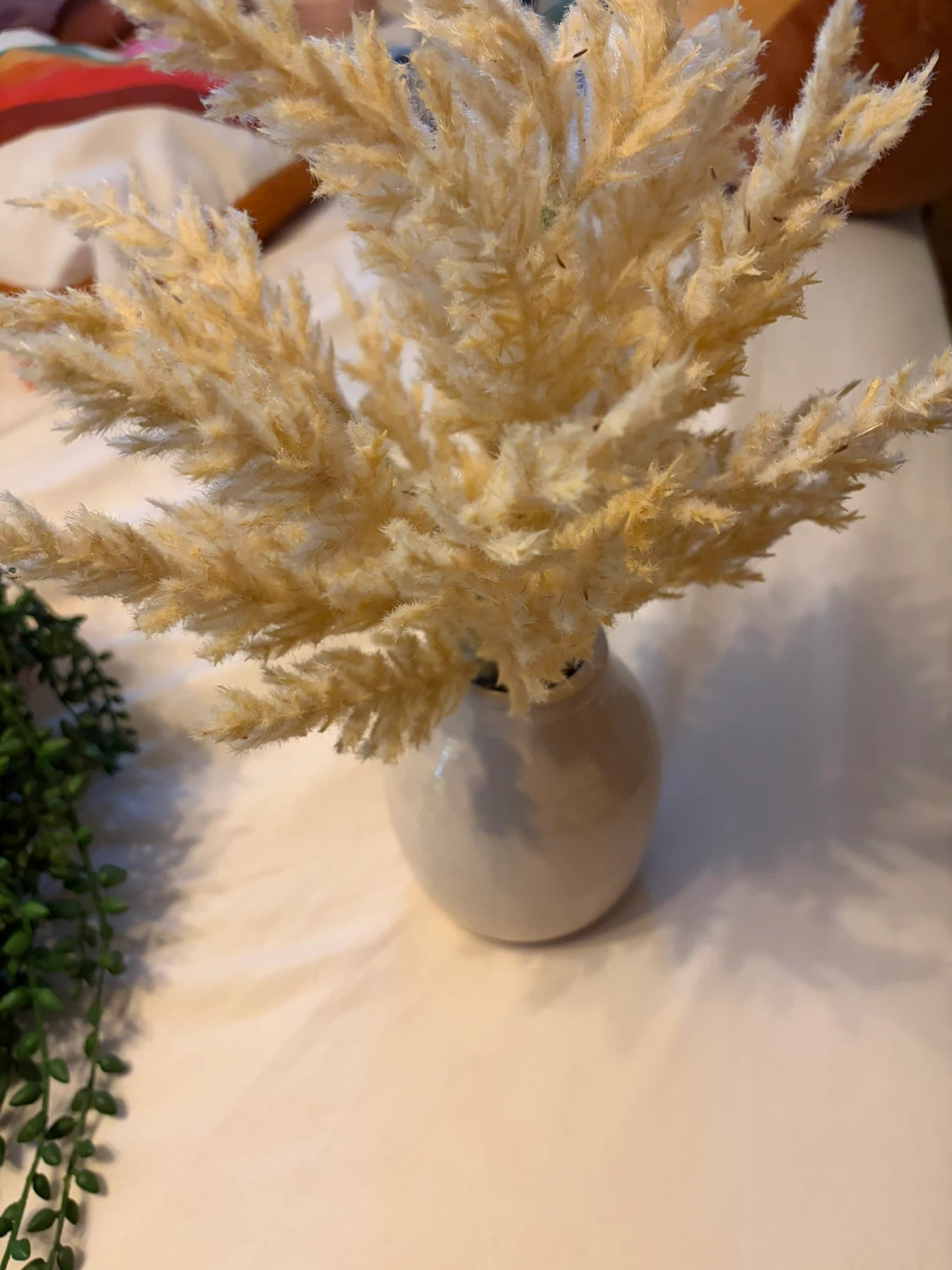 2- plants/Dried Pampas Grass Arrangement in White Ceramic Vase - photo 4