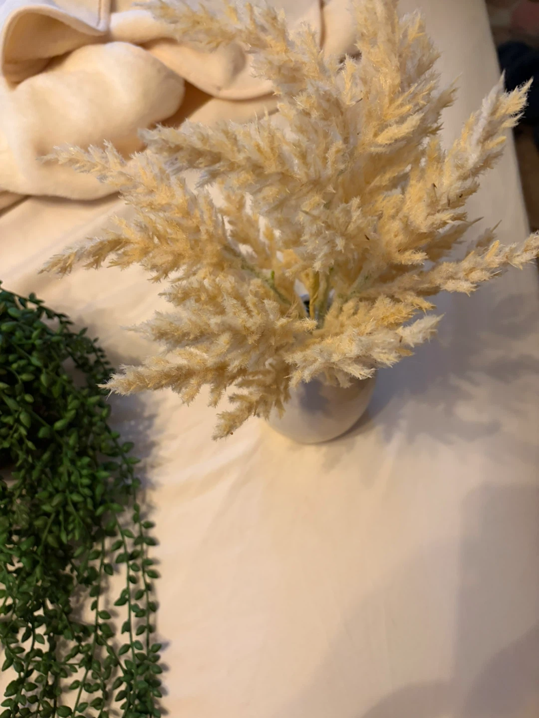 2- plants/Dried Pampas Grass Arrangement in White Ceramic Vase - photo 2
