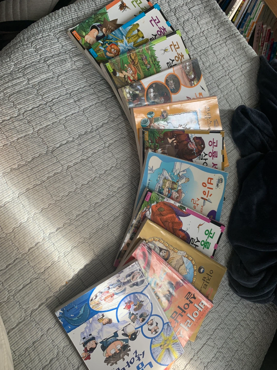 Collection of Korean Comic Books
