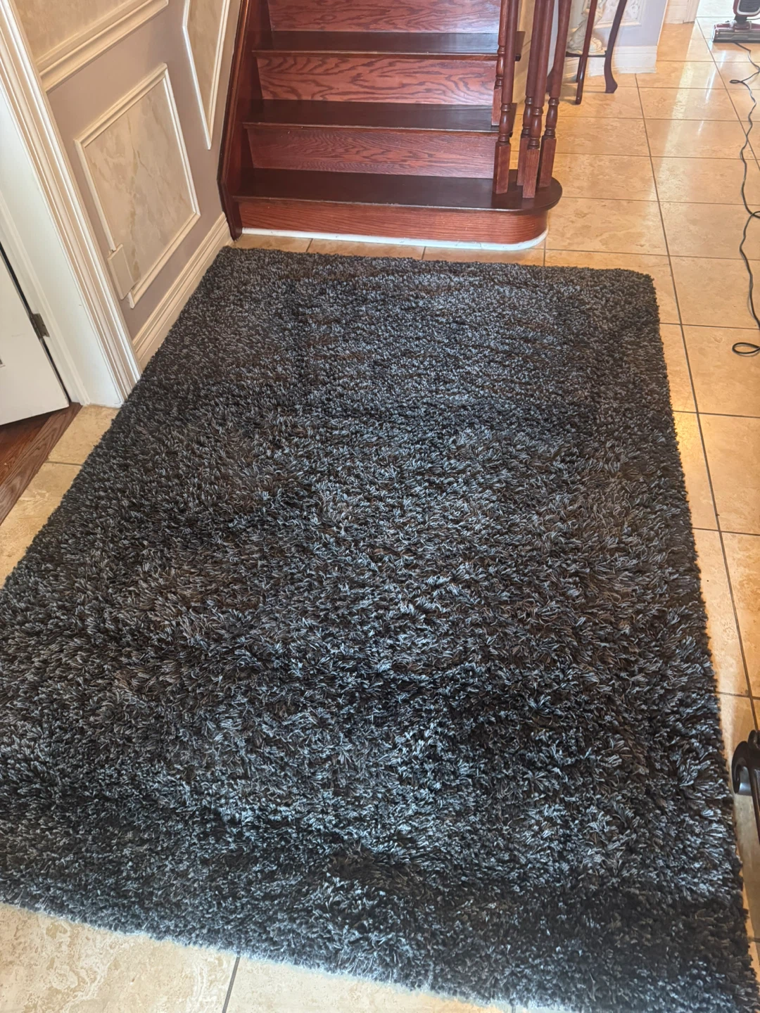Carpet Art Deco Shag Rug
