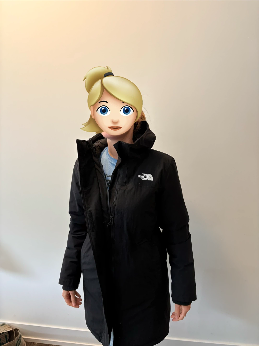 The North Face Black Parka Jacket