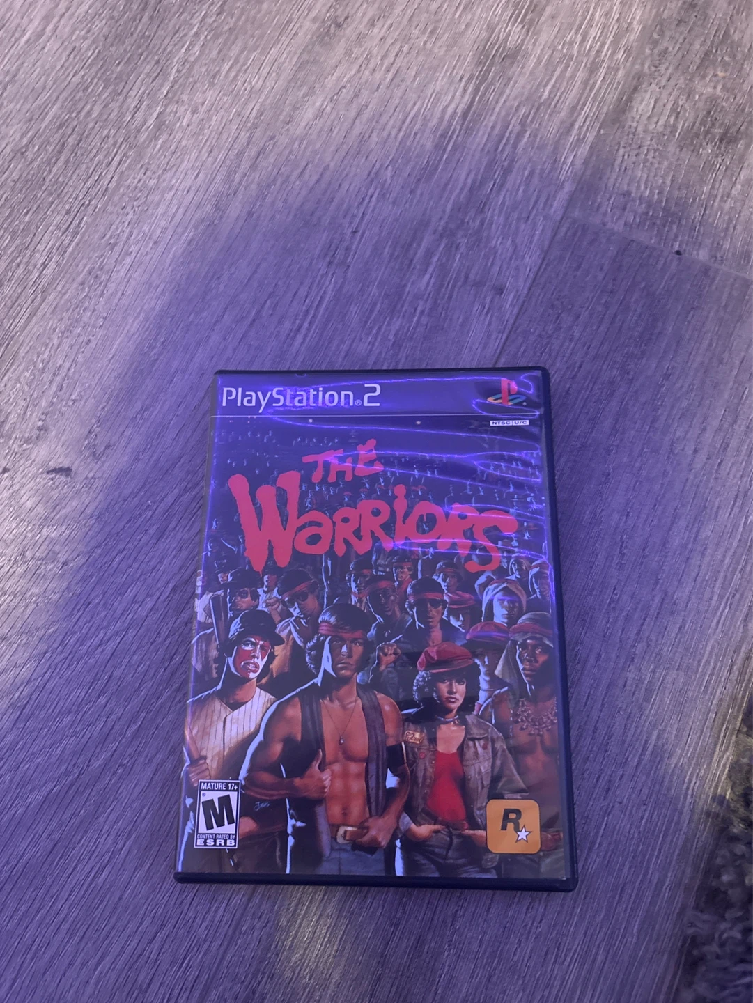 The Warriors Video Game for PlayStation 2