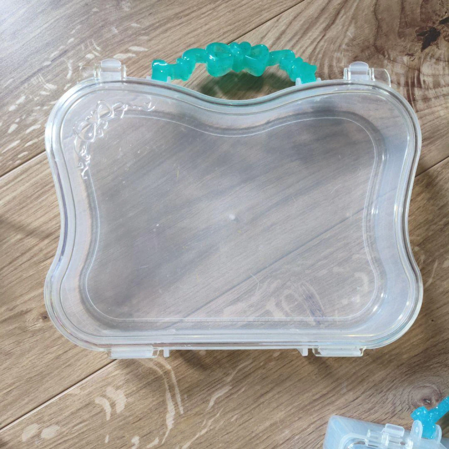 Clear Plastic Carrying Case with Handles