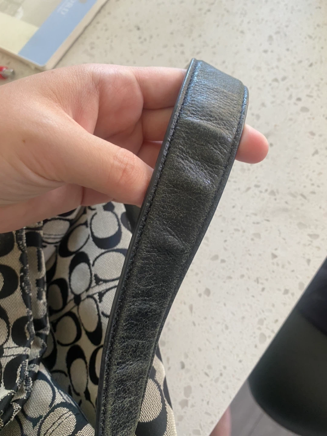 Coach Signature Hobo Bag - photo 3