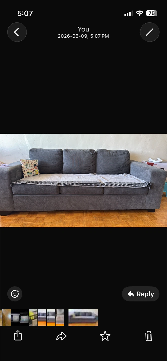 Grey Sofa
